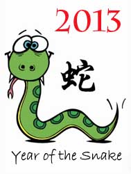 2013 Year of Snake